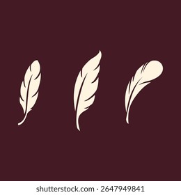Bird Feather trendy vector art design pleasant amazing colorful useful illustration.eps
