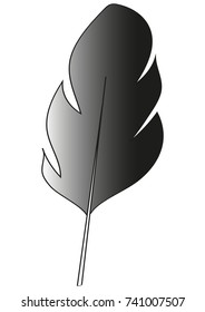 bird feather vector