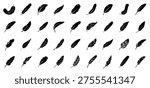 Bird Feather vector collection. Feather icons for logo or decoration. Symbol of comfort, softness and lightweight.