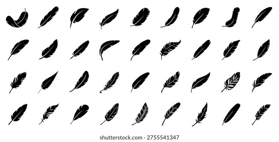 Bird Feather vector collection. Feather icons for logo or decoration. Symbol of comfort, softness and lightweight.