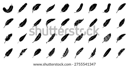 Bird Feather vector collection. Feather icons for logo or decoration. Symbol of comfort, softness and lightweight.