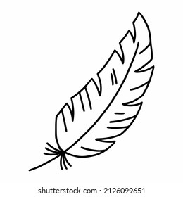 Bird feather. Vector doodle illustration. Contour icon. Сalligraphic symbol.