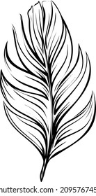 bird feather, vector graphics. Use for patterns, posters, postcards and more