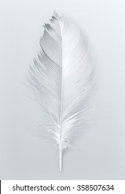 Bird Feather, Vector Icon