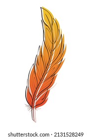 Bird feather vector illustration isolated on white. Design element for graphic and print
