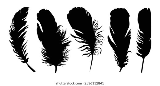 Bird wing’s Feather Vector silhouette icon set illustration.