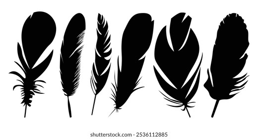 Bird wing’s Feather Vector silhouette icon set illustration.