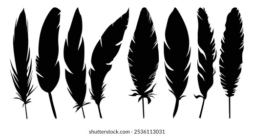 Bird wing’s Feather Vector silhouette icon set illustration.