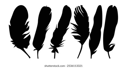 Bird wing’s Feather Vector silhouette icon set illustration.