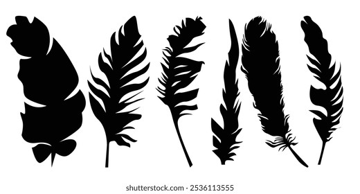 Bird wing’s Feather Vector silhouette icon set illustration.