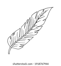 Bird feather. Vector. For wedding invitations, cards, tickets, congratulations, branding, logo labels, emblems. Drawn by the outline.