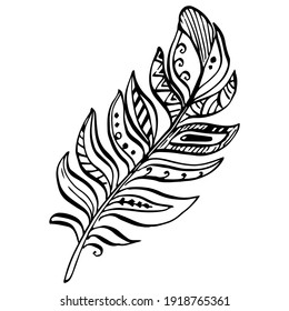 Bird feather from wing isolated. Isolated illustration element. Vector feather for background, texture, wrapper pattern, frame or border.