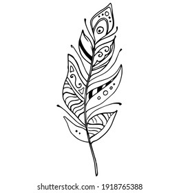 Bird feather from wing isolated. Isolated illustration element. Vector feather for background, texture, wrapper pattern, frame or border.