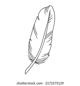 Plume d'oiseau d'aile isolée. Elément d'illustration isolé. Plume vectorielle pour arrière-plan, texture, motif d'enveloppe, cadre ou bordure.