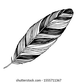 Bird feather from wing isolated. Vector feather for background, texture, wrapper pattern, frame or border. Black and white engraved ink art. Isolated feathers illustration element.