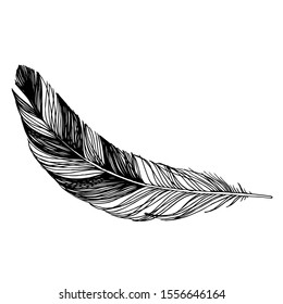 Bird feather from wing isolated. Vector feather for background, texture, wrapper pattern, frame or border. Black and white engraved ink art. Isolated feathers illustration element.