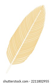Pluma de pájaro (amarillo). Ilustración vectorial.