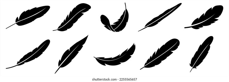 Las aves contienen siluetas negras. Ilustración del vector