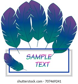 Bird feathers color background. Vector illustration EPS10