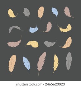 Bird feathers in different positions