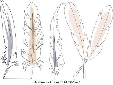 bird feathers drawing in one continuous line, sketch, vector