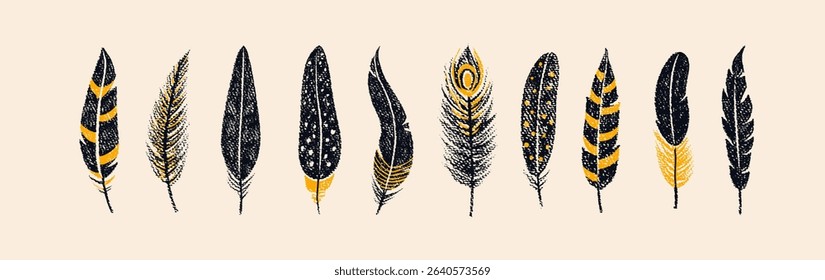 Bird feathers drawn with color crayon pencils. Pastel sketch of black peacock, chicken, bird plumes. Set of boho feathers, quills with pattern and crayon or chalk texture, vector illustration