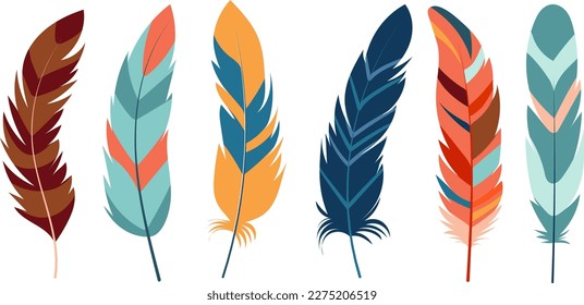 bird feathers in flat style vector