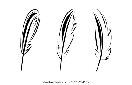 bird feathers graphic set black line minimalistic vector icon isolated on white background. To illustrate the processes of education, science, ease, write the text.