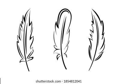 bird feathers graphic set black line minimalistic vector icon isolated on white background. To illustrate the processes of education, science, ease, write the text.