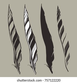 Bird feathers, hand-drawn in a sketchbook, translated into vector.
Design can use for: tattoo, scrapbooking, decoration, labels and so on 