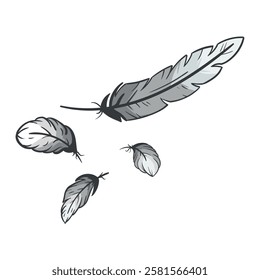 Bird feathers are large and small. Color vector illustration isolated on white background. Editable image for children's book, sticker, poster