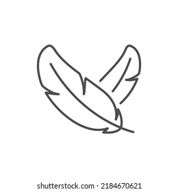 Bird feathers line outline icon