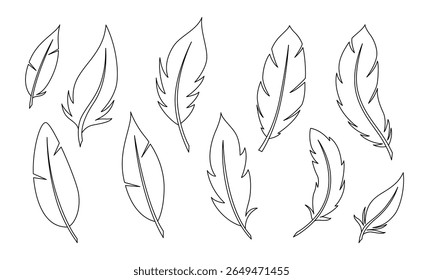 Bird Feathers linear set isolated on white. Vector outline collection in flat style.