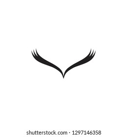 bird feathers logo template