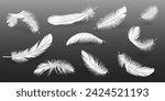 Bird feathers realistic vector illustration set. Elegant white quills. Lightweight fluffy plumage 3d elements on transparent background