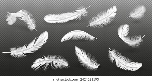 Bird feathers realistic vector illustration set. Elegant white quills. Lightweight fluffy plumage 3d elements on transparent background