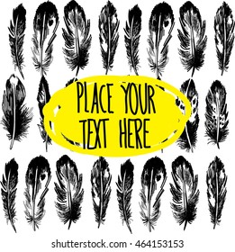 Bird feathers . Registration for the text in the boho style. Vector drawing in vintage style .