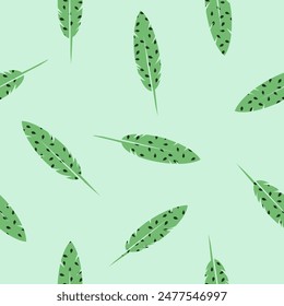 Bird Feathers seamless pattern texture design element