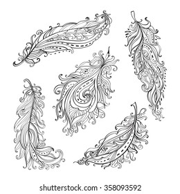 Bird feathers. Feathers set for your design isolated on white background. Trendy elements in boho style, tribal concept. Hand drawn vector illustration