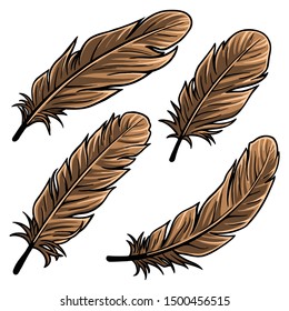 bird feathers vector design set