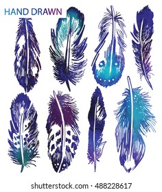 Bird feathers . Vector freehand drawing in vintage style . A set of eight pens exotic birds.