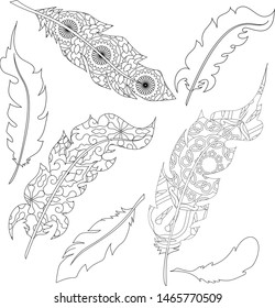 Bird feathers without ornament, as well as covered with abstract ornament. Zenart. Antistress coloring.
