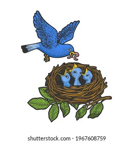Bird feed chicks color sketch engraving vector illustration. T-shirt apparel print design. Scratch board imitation. Black and white hand drawn image.