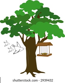 bird feeder