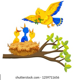 Bird feeding baby bird illustration