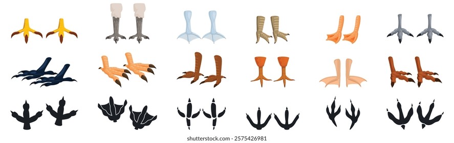  Bird feet icons set. Bird feet and footprints exhibit remarkable diversity, reflecting adaptations to various habitats and lifestyles