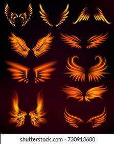 Bird fire wings fantasy feather burning fly mystic glow fiery burn hot art vector illustration on black.