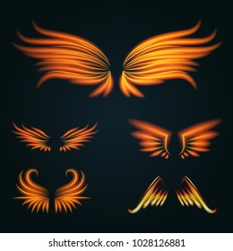 Bird fire wings vector fantasy feather burning fly mystic glow fiery burn hot art wings illustration on black.