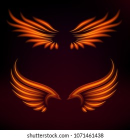 Bird fire wings vector fantasy feather burning fly mystic glow fiery burn hot art wings illustration on black.