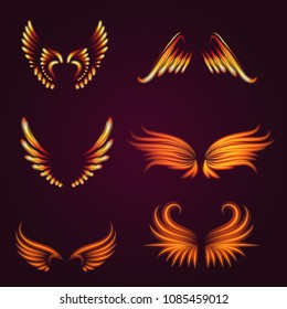Bird fire wings vector fantasy feather burning fly mystic glow fiery burn hot art wings illustration on black.